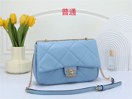 Chanel bag-0119