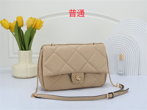 Chanel bag-0123