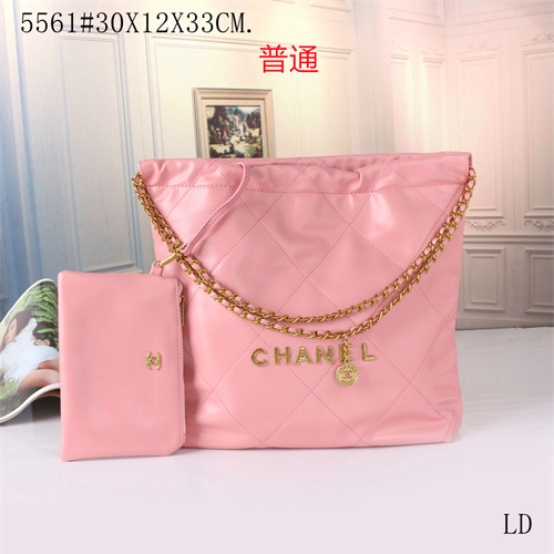 Chanel bag-0154