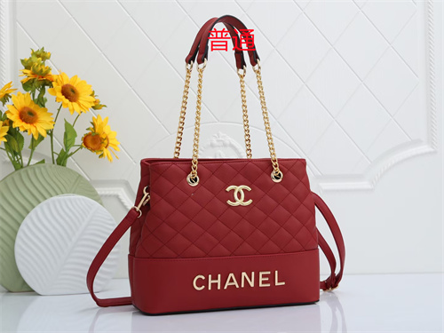 Chanel bag-0160