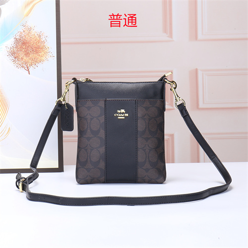 Coach small bag-0056