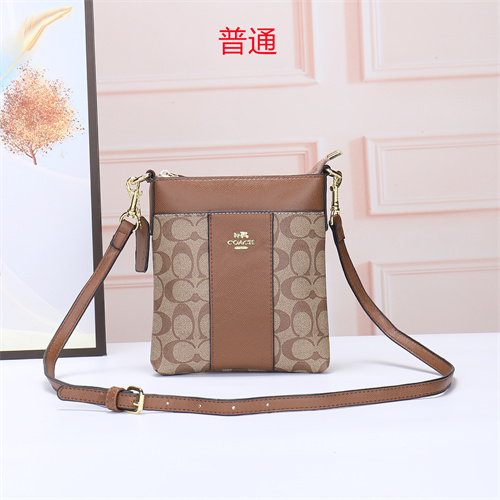 Coach small bag-0059