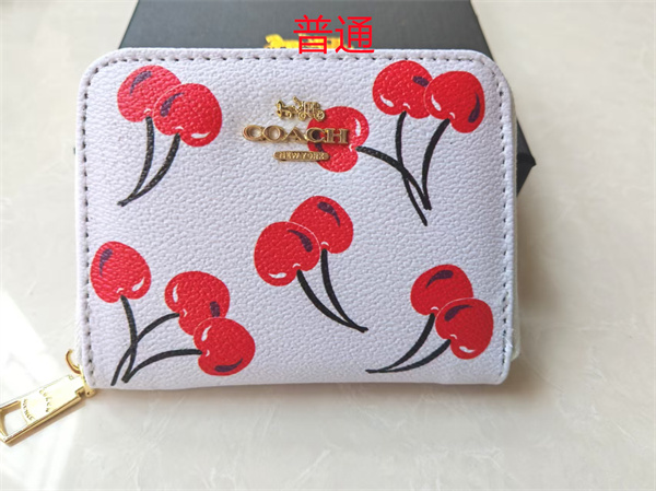 Coach Wallet-0068