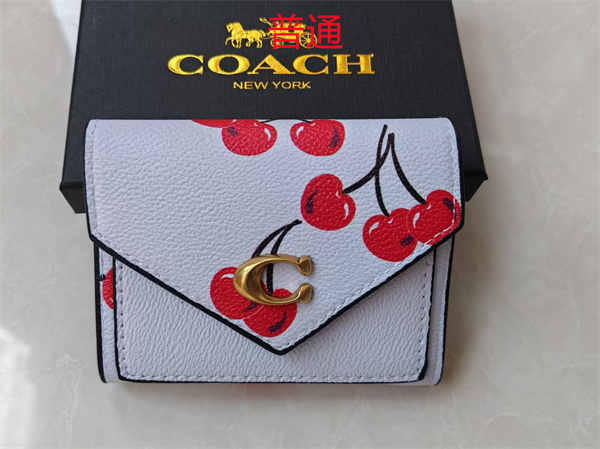 Coach Wallet-0078