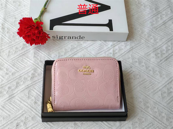 Coach Wallet-0100