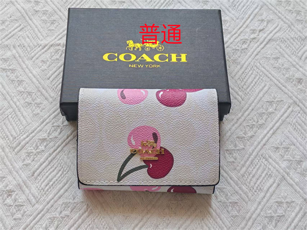 Coach Wallet-0176