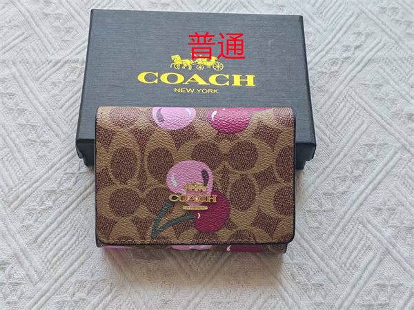Coach Wallet-0179