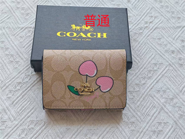 Coach Wallet-0182