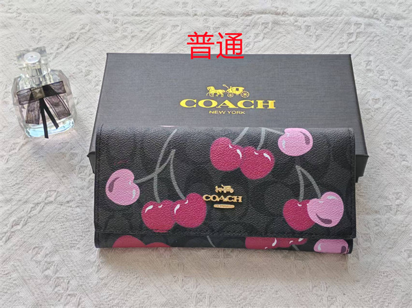 Coach Wallet-0190