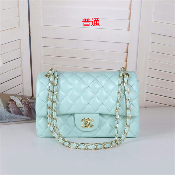Chanel small bag-0077