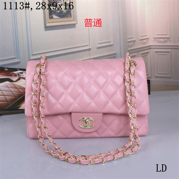 Chanel small bag-0080