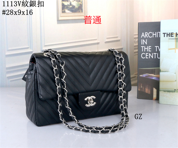 Chanel bag-0181