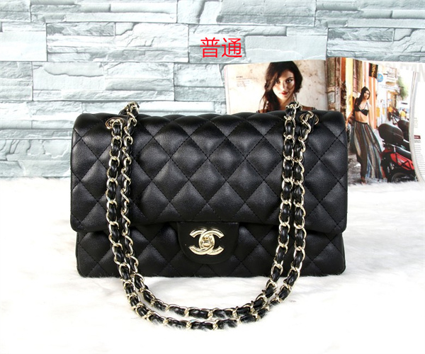 Chanel bag-0187