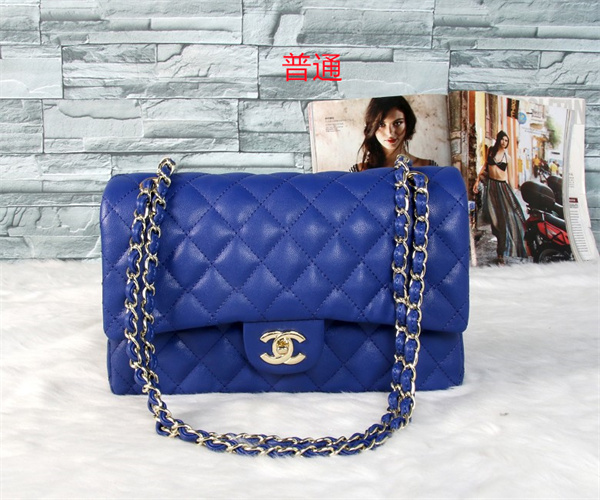 Chanel bag-0189