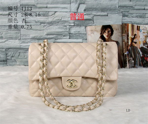 Chanel bag-0190