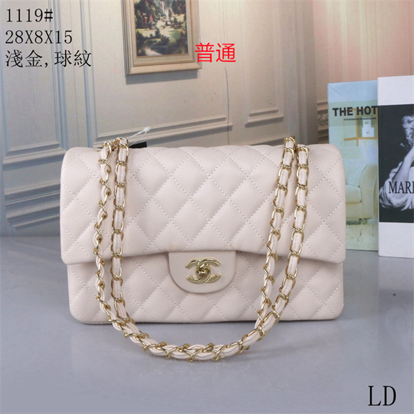 Chanel bag-0194
