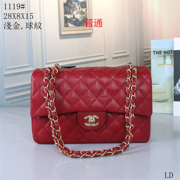 Chanel bag-0195