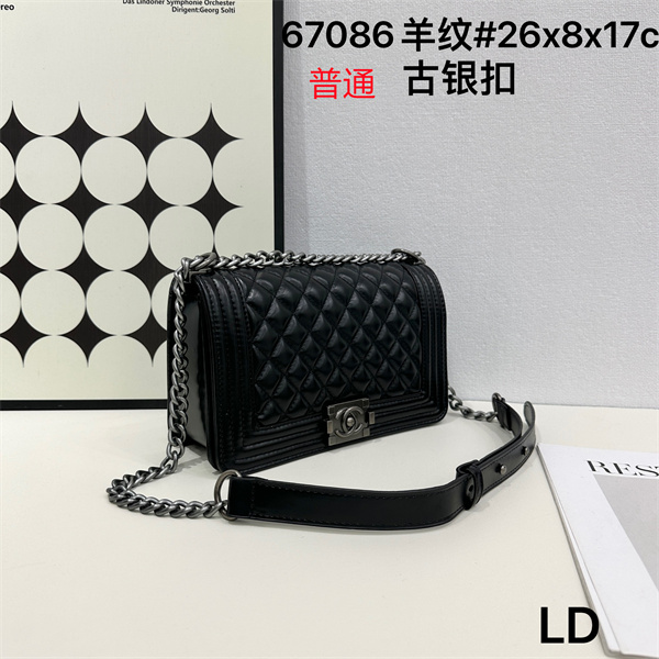 Chanel bag-0231