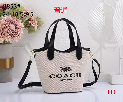 Coach small bag-0067