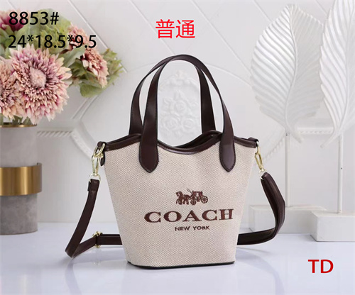 Coach small bag-0068