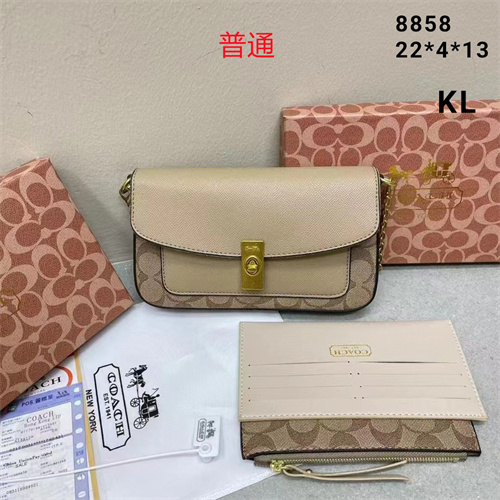 Coach small bag-0073
