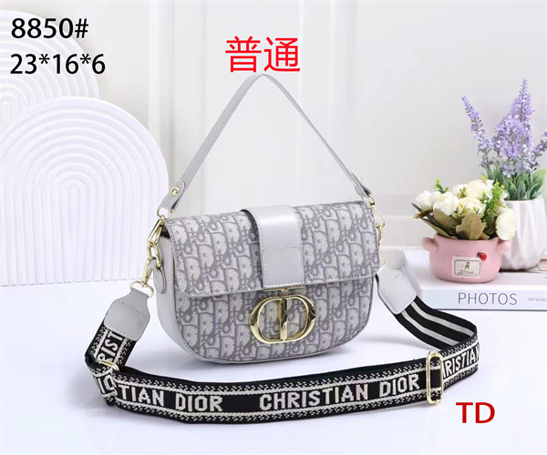 Dior small bag-0108