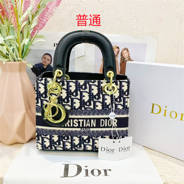 Dior small bag-0125
