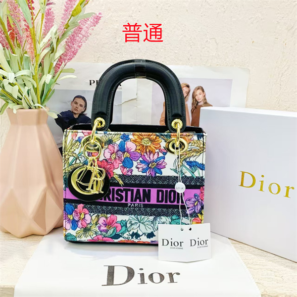 Dior small bag-0130