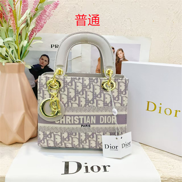 Dior small bag-0131