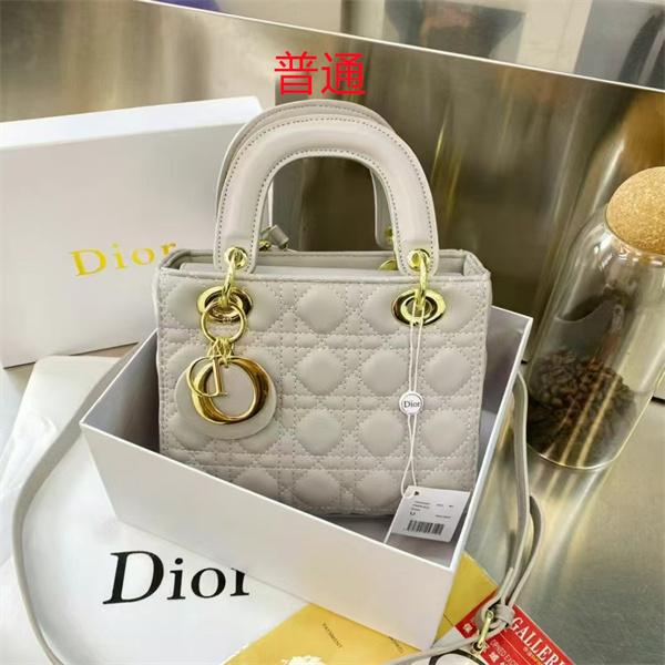 Dior small bag-0133