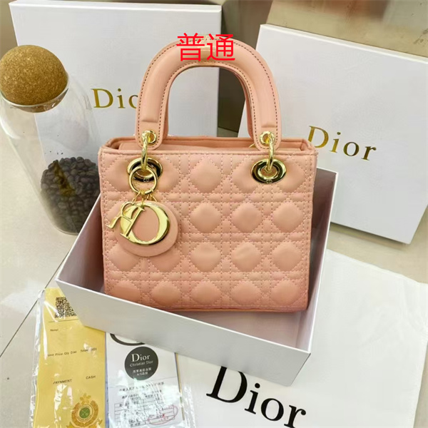Dior small bag-0134
