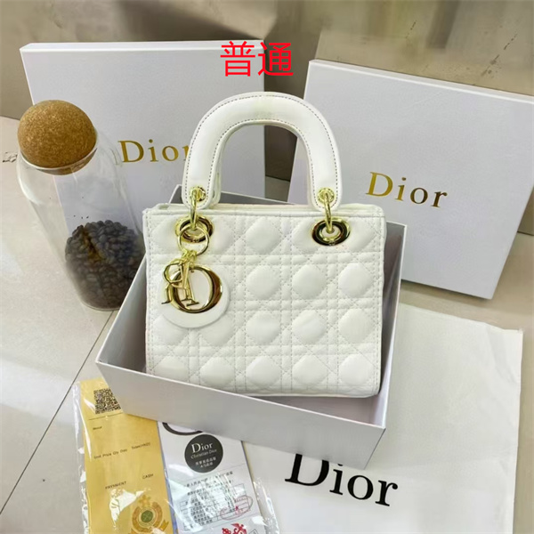 Dior small bag-0137