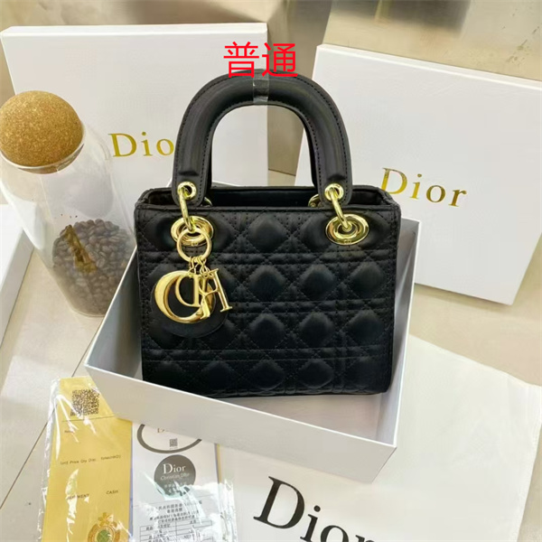 Dior small bag-0138