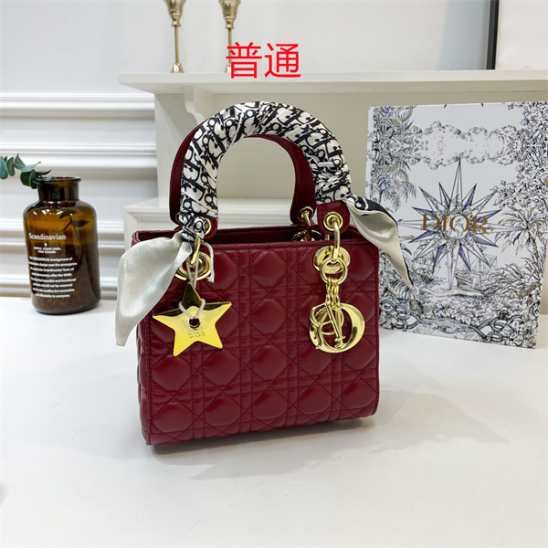 Dior small bag-0143