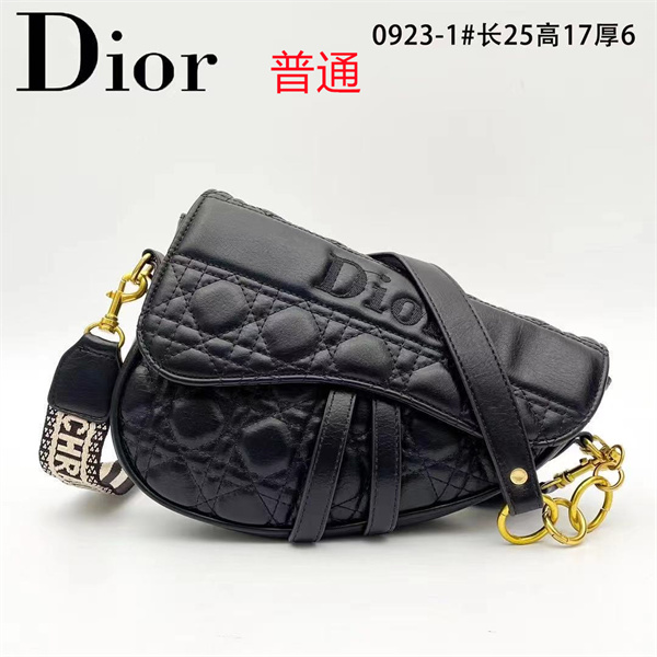 Dior small bag-0153