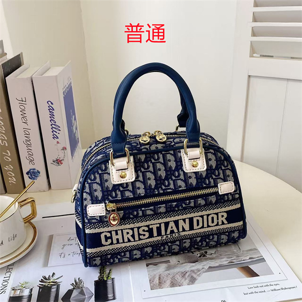Dior small bag-0173