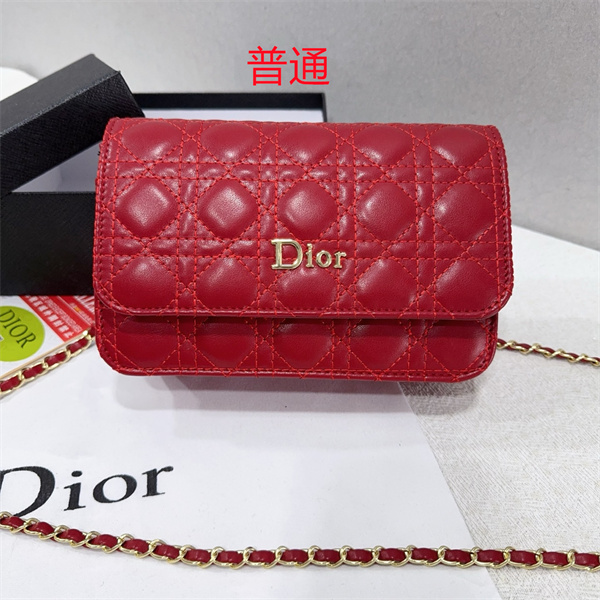 Dior small bag-0214
