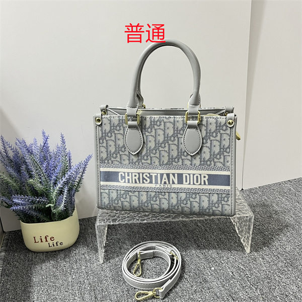 Dior small bag-0253