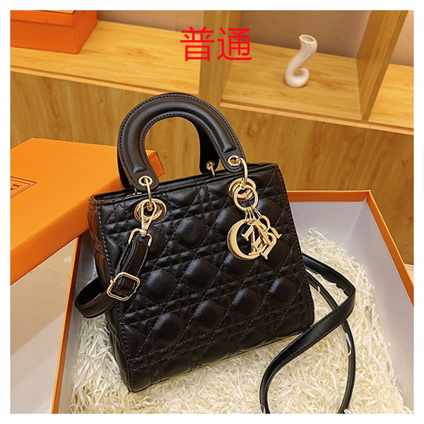 Dior small bag-0278