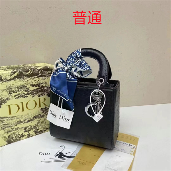 Dior small bag-0291