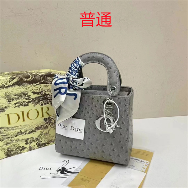 Dior small bag-0294