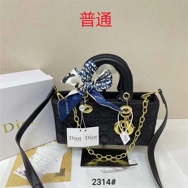 Dior small bag-0299