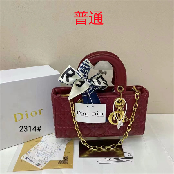 Dior small bag-0300