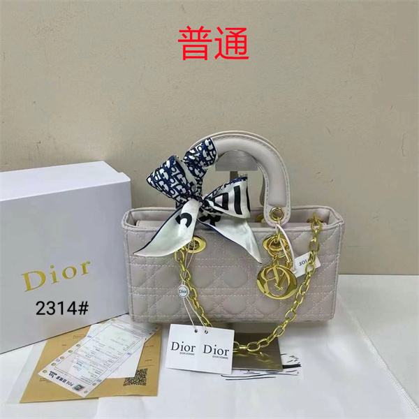 Dior small bag-0303