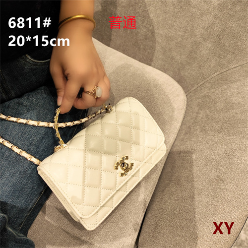 Chanel small bag-0113