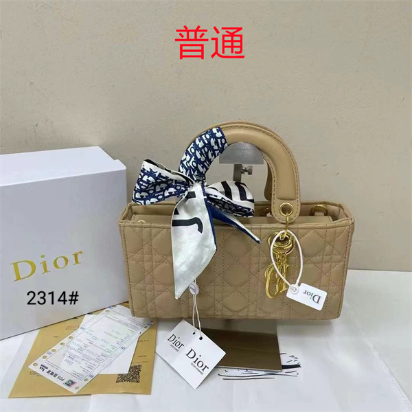 Dior small bag-0306