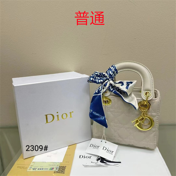Dior small bag-0342