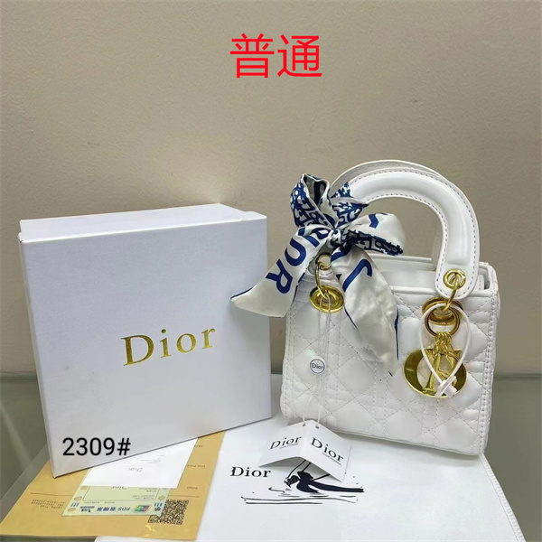 Dior small bag-0343