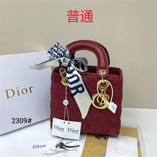 Dior small bag-0344
