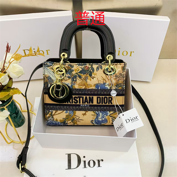 Dior small bag-0345